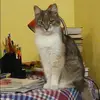 Отзыв от Анфиса Латышева